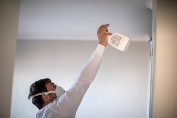 Best Mold Testing  in Westke, LA