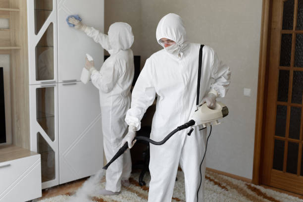 Best Mold Removal Process  in Westke, LA