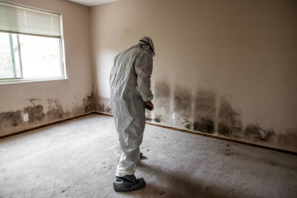 Best Mold Testing  in Westke, LA